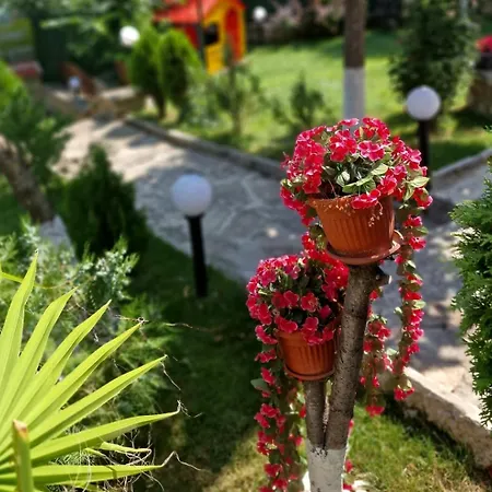 Simon 2* バルチク