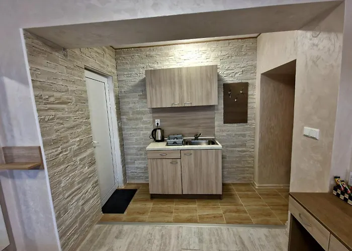 Simon Πανσιόν Μπαλτσίκ