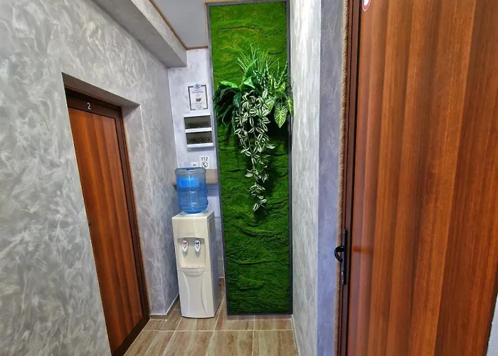 Simon Πανσιόν Μπαλτσίκ