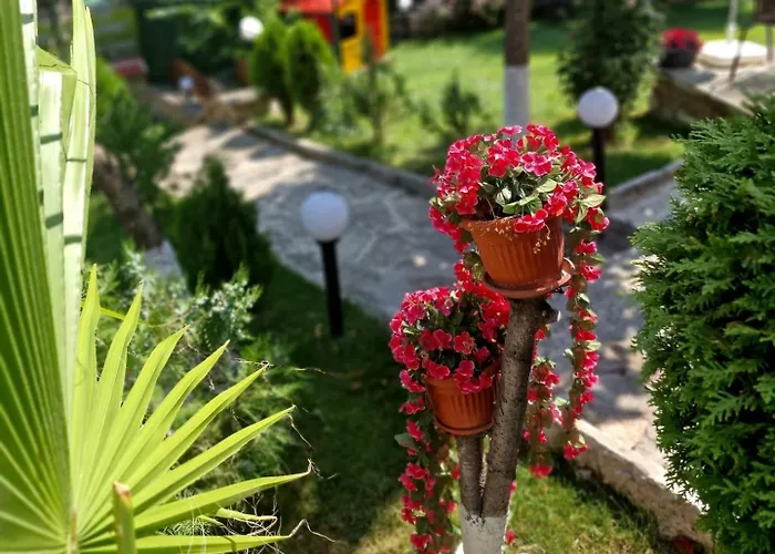 Simon 2* Μπαλτσίκ